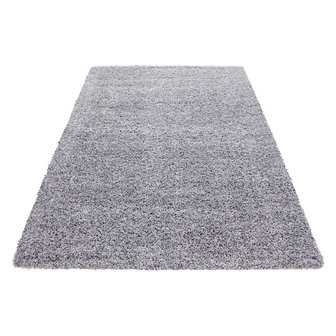 Grijze vloerkleden Adriana Shaggy  1500/AY LichtGrijs