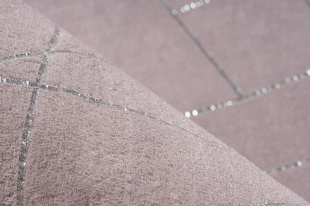Vloerkleed Brasil taupe zilver 125