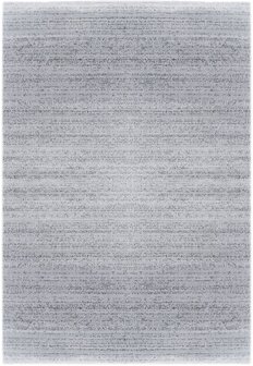 Grijs vloerkleed Lines 302  