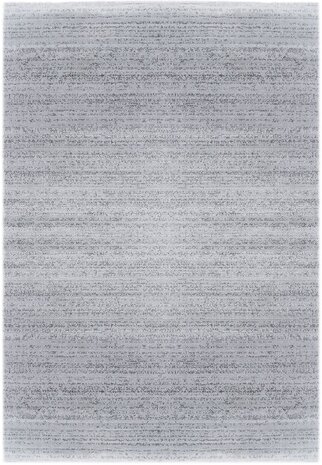 Grijs vloerkleed Lines 302  