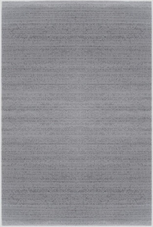 Grijs vloerkleed Lines 302  